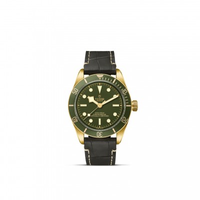 TUDOR-Black Bay 58 18K M79018V-0001