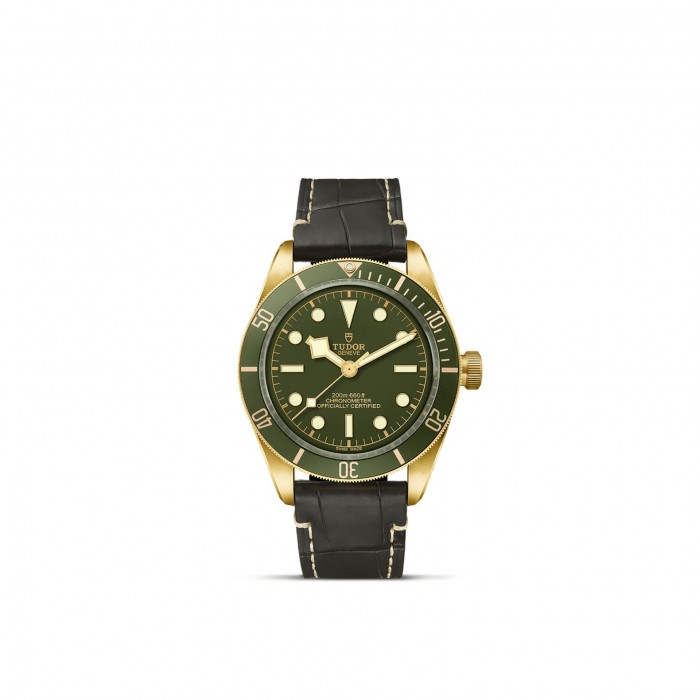 TUDOR-Black Bay 58 18K M79018V-0001